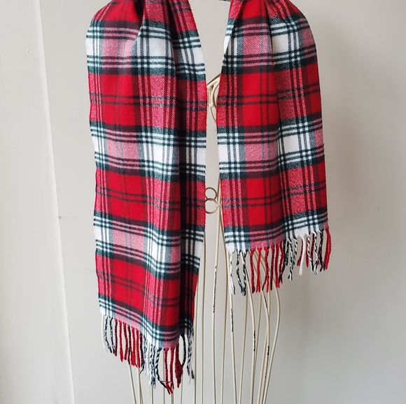 Cashmere Fringed Scarf - Picture 4 of 6